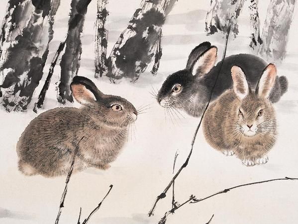 6月中旬命中三合太岁,大发利市的生肖,会有你