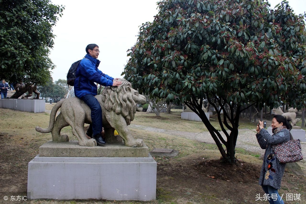 旅行中的不文明行为!这15张照片中的场景,你如