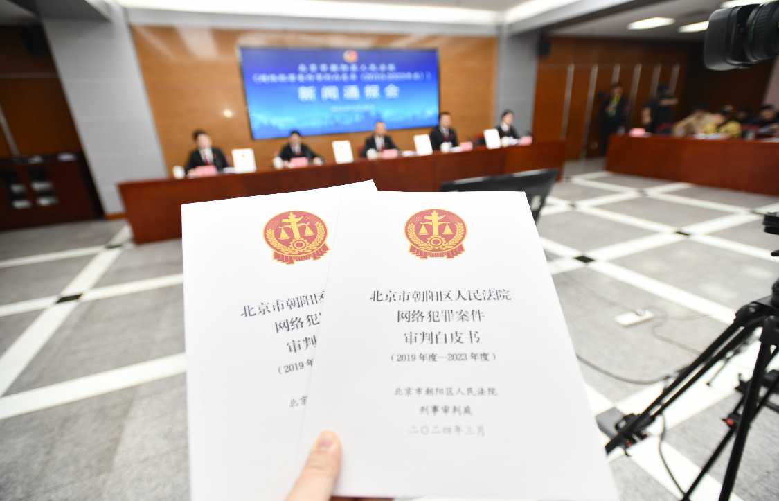 朝阳法院发布《网络犯罪案件审判白皮书》及典型案例