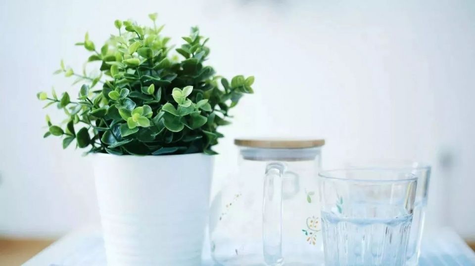 家有考生 | 想要拿高分,这十大高考答题禁忌千万