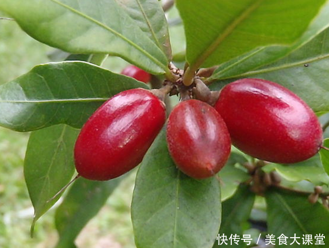 世界10大珍稀水果,价值极高,最后2个只有中国