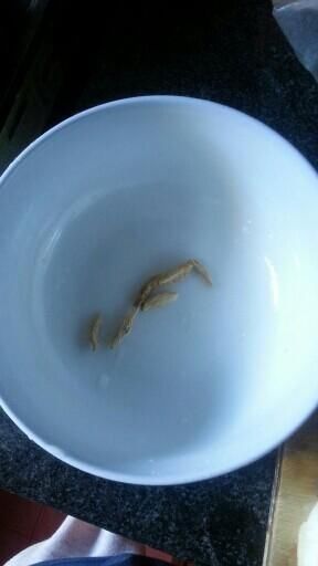 宝宝扁桃体发炎肿痛,用它蒸水喝,一天3次,堪比