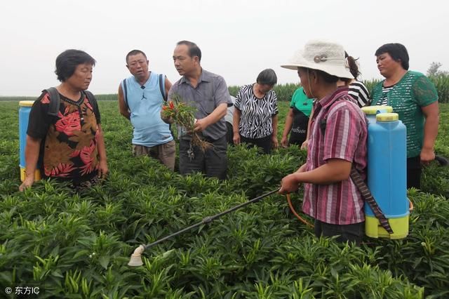 关于2018年合作社补贴政策,你知道多少?