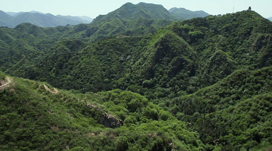中国梦展播|纪录片《共生共荣》之人与自然 中国梦展播|纪录片《共生共荣》之人与自然