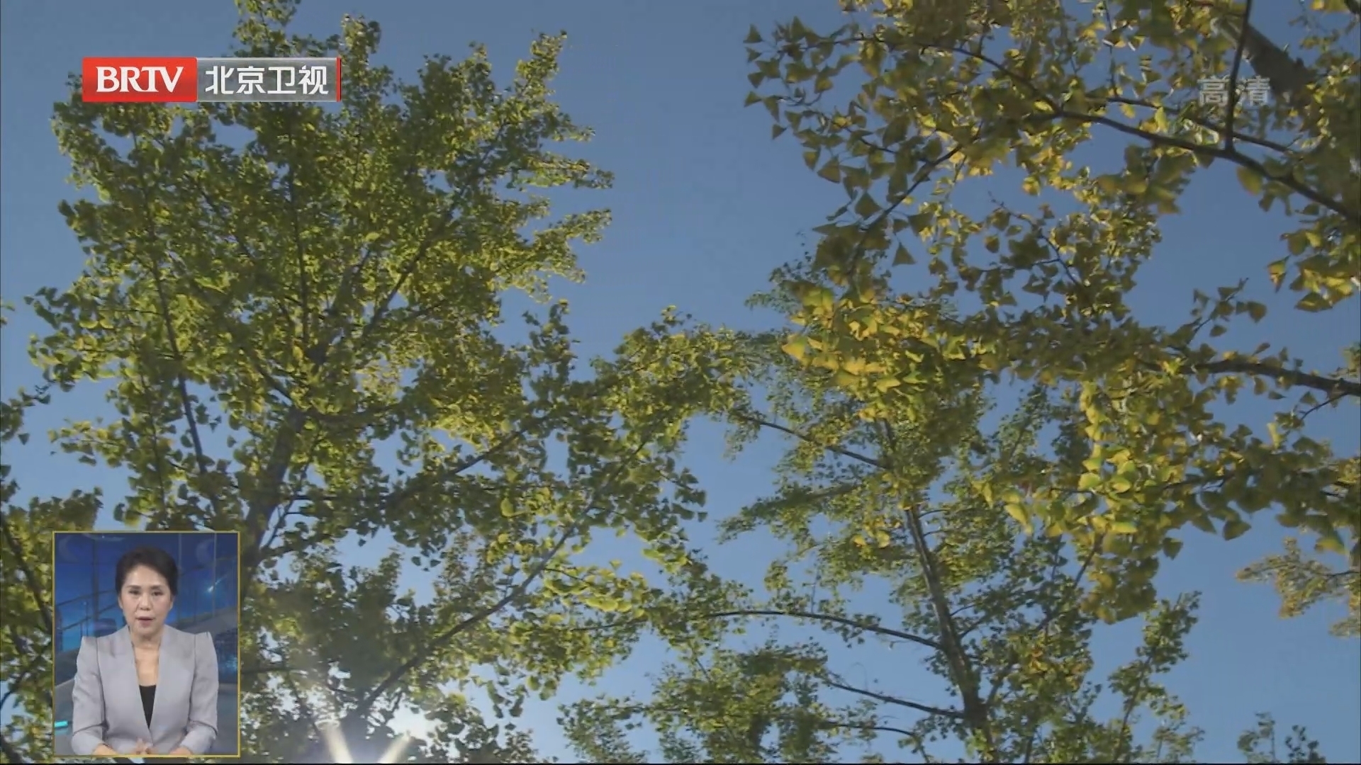 金秋十月北京新增62处公园绿地 金秋十月北京新增62处公园绿地