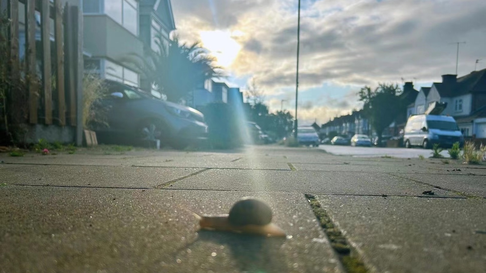 末伏首日暑热未退 最高气温30℃