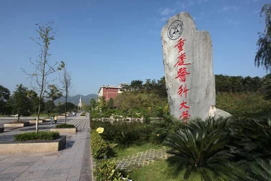 文科生可以学医吗?这几条路你可以选择,第二条