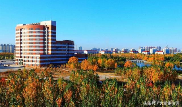 同样的专业,专科和本科有什么不同吗?毕业后到