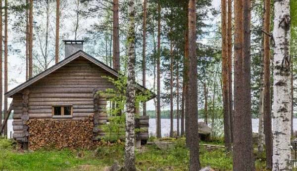 德国夫妻不堪生活压力,用三个月时间在森林建木屋隐居两年!