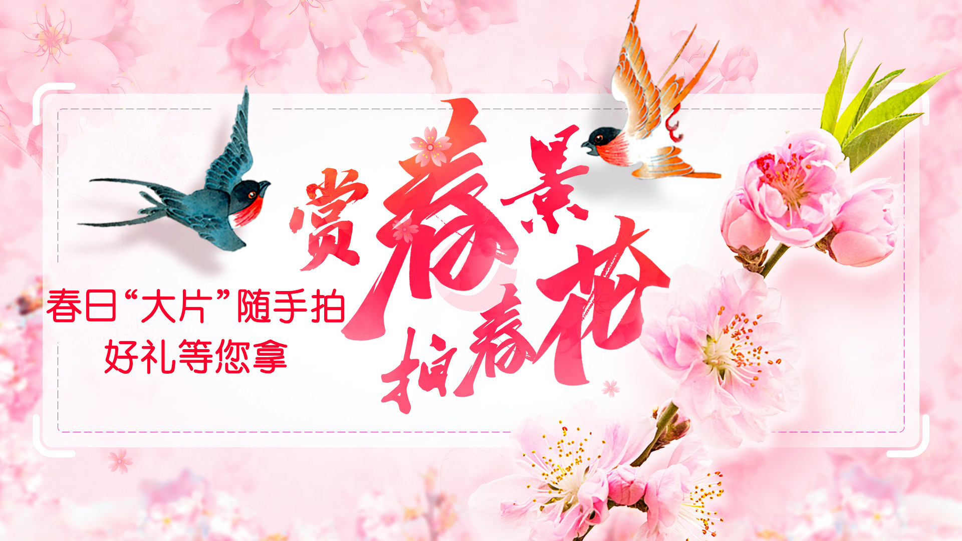 赏春景 拍春花|随手记录你眼中的春日“大片” 赏春景 拍春花|随手记录你眼中的春日“大片”