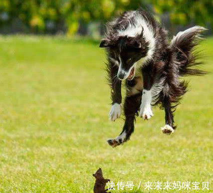 搞笑段子:最近做了一个梦,和朋友好上了