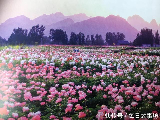 五一假期,春暧花开的河北各地的旅游景点美景