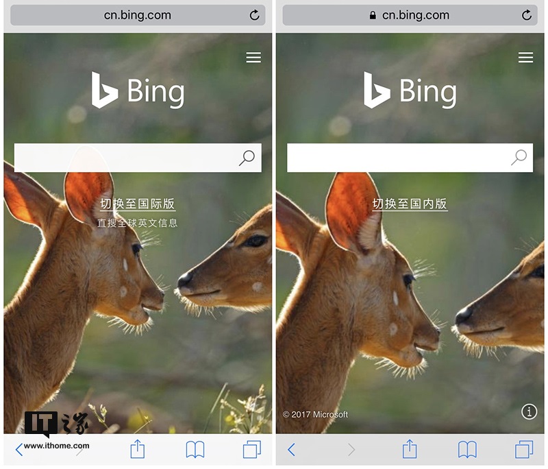 微软必应(Bing)搜索国际版已经上线:附简单体验