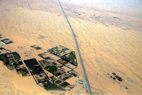 你被骗了多久?去迪拜发现,遇到豪车的概率还没