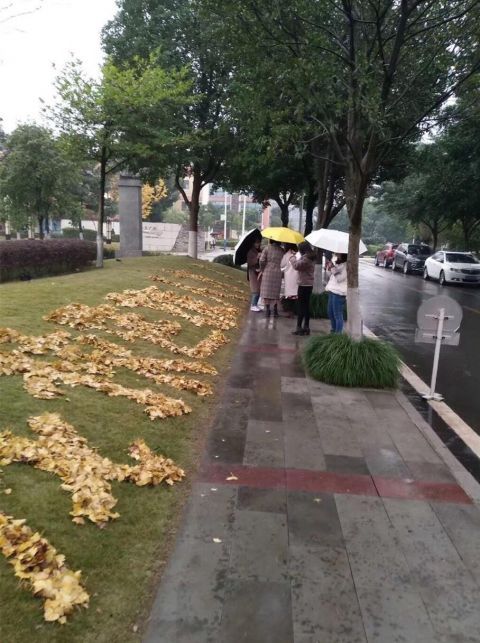 保洁阿姨落叶拼出表情 给学生就业呐喊助威-北