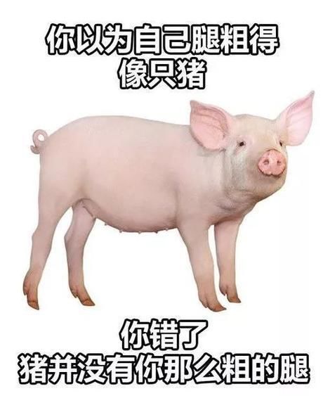 搞笑图片:生活中笑死人的爆笑图片,一切只为开心