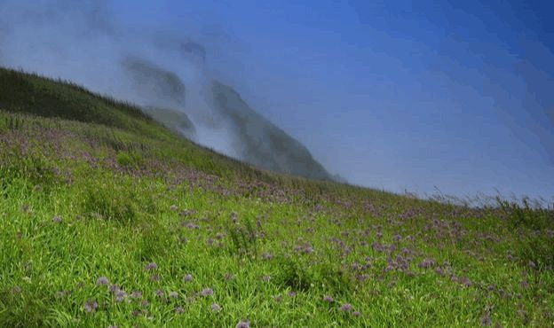 精选贵州最值得游玩的10个地方