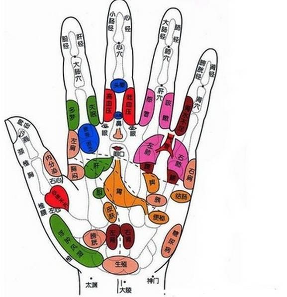 十个手指甲相应器官图片