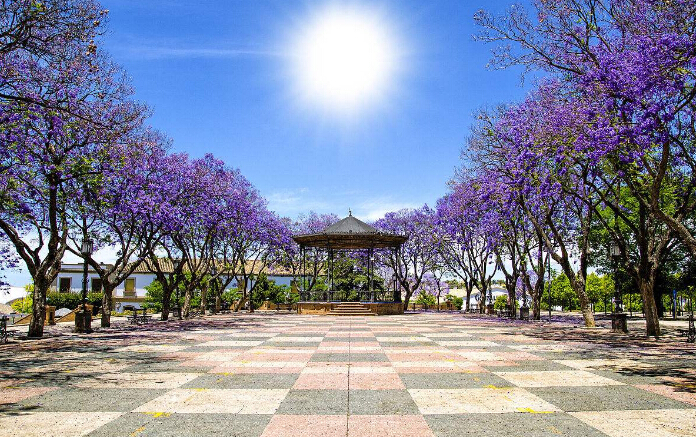 为什么你的西班牙签证被拒签了?这篇文章告诉