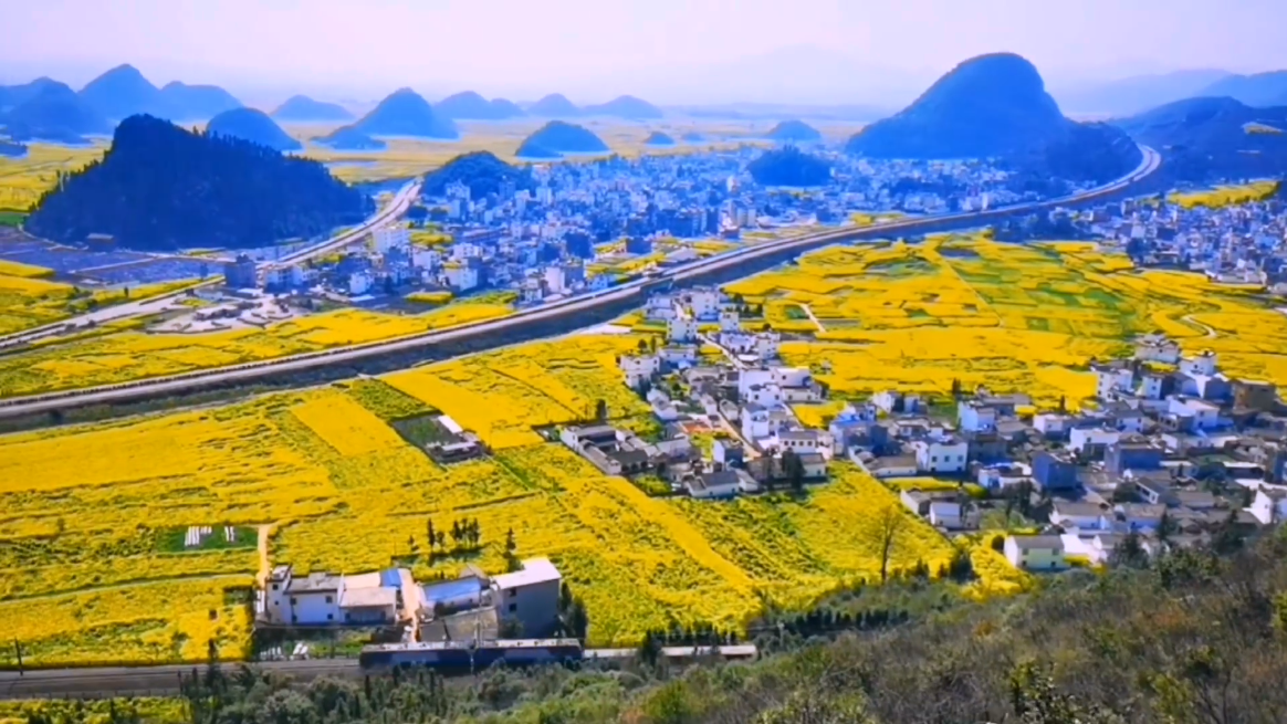 金玉满堂！罗平80万亩油菜花染黄了大地山川，这是中国最大花海！