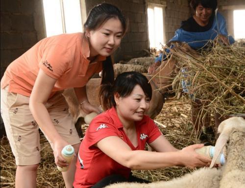 福利参照公务员,年终奖3万,大学生村官待遇其