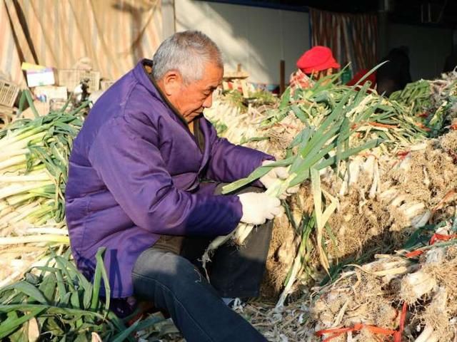 农村老人剥大葱每天1000斤日挣60元,他们最担心一件事?