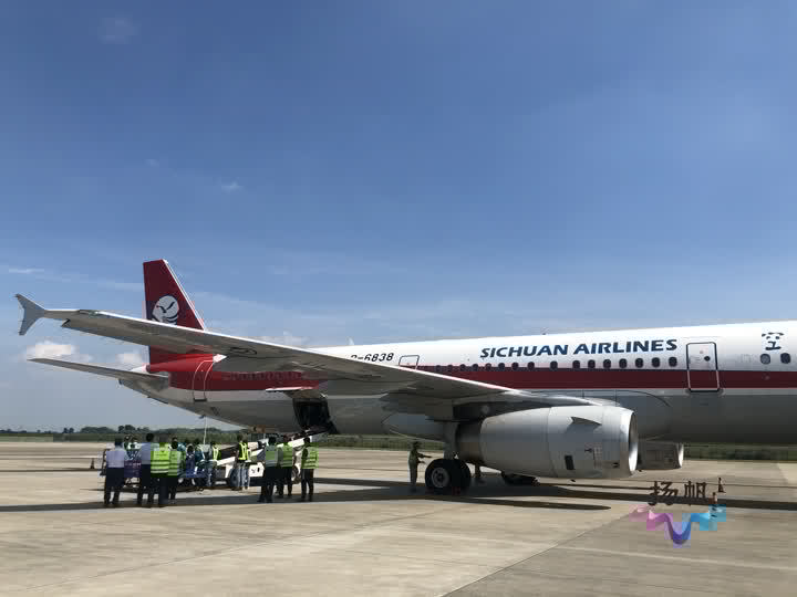 熊猫保护研究中心的雅安碧峰峡基地和卧龙核桃坪基地送到成都双流机场