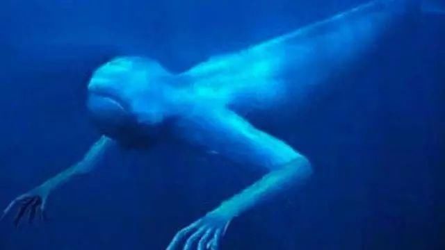 南极现30米高人鱼 神秘!