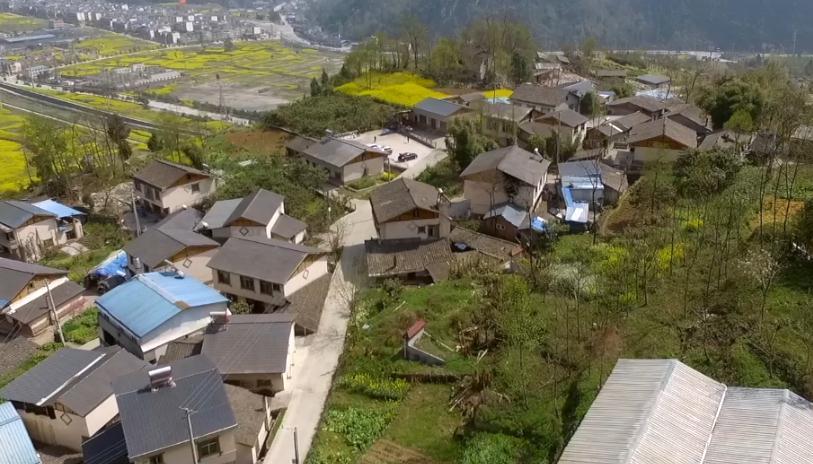 “绝地”奇迹:他们用10年,把震毁的树一棵一棵栽回去 “绝地”奇迹:他们用10年,把震毁的树一棵一棵栽回去