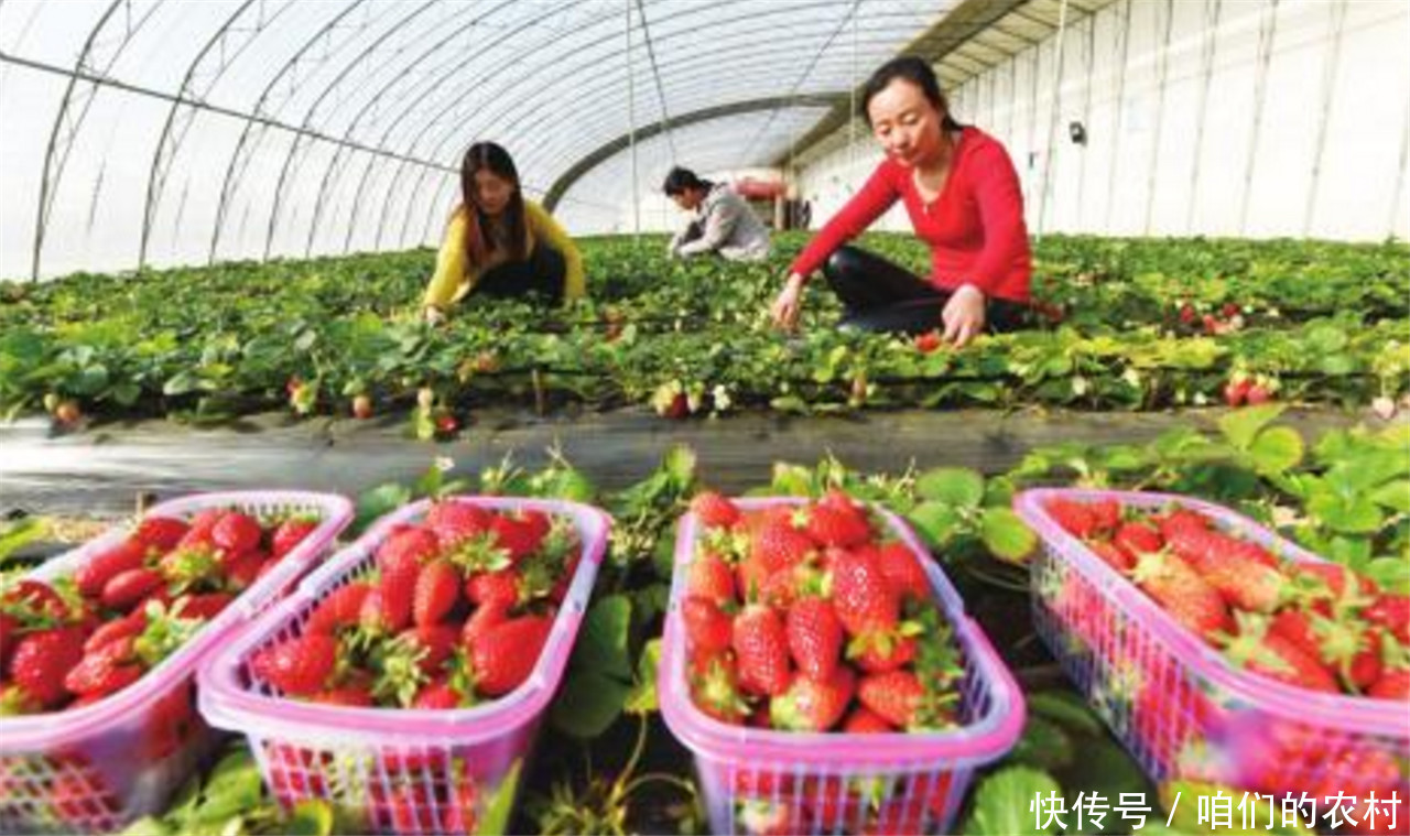 未来几年的农村除了土地之外,什么最值钱?很多