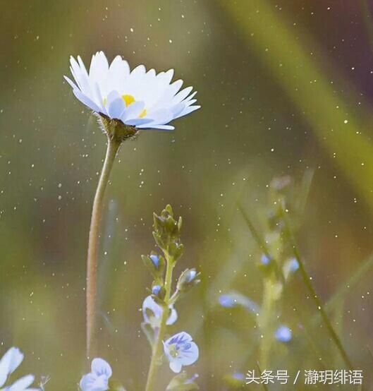 农村婆婆比城里婆婆更爱挑事儿,更爱摆架子,更