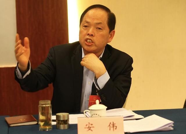 三门峡市长安伟:建议将仰韶文化申报世界文化遗产