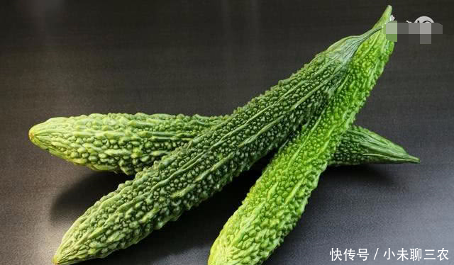 日本人农业模式让我汗颜!