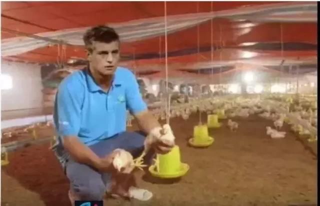 越南风球星PS图片,C罗去卖猪,梅西喂鸭子,内马