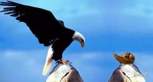 拎不清的人注定是悲剧:带着孩子跳河的不幸女人