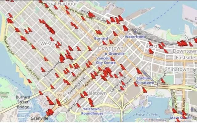 比加拿大鹅还凶!温哥华乌鸦疯了,2天袭击70人