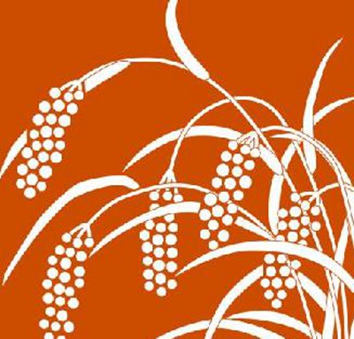 打赢脱贫攻坚战:乡村振兴战略的重要一环