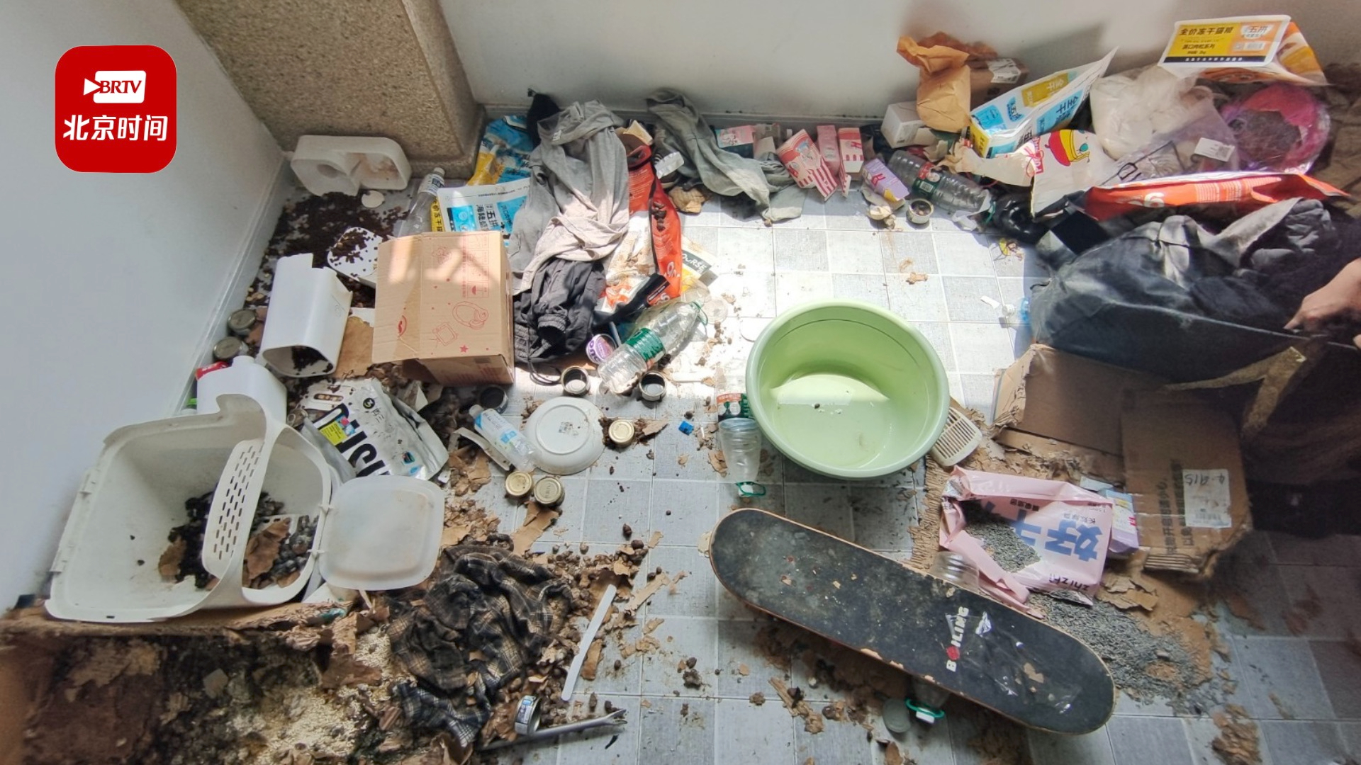 主播租房不辞而别留一阳台猫屎 房东：保洁都要熏吐了，拒绝打扫