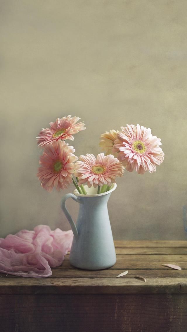 养老保险到底交到什么时候,多大年龄才能退休