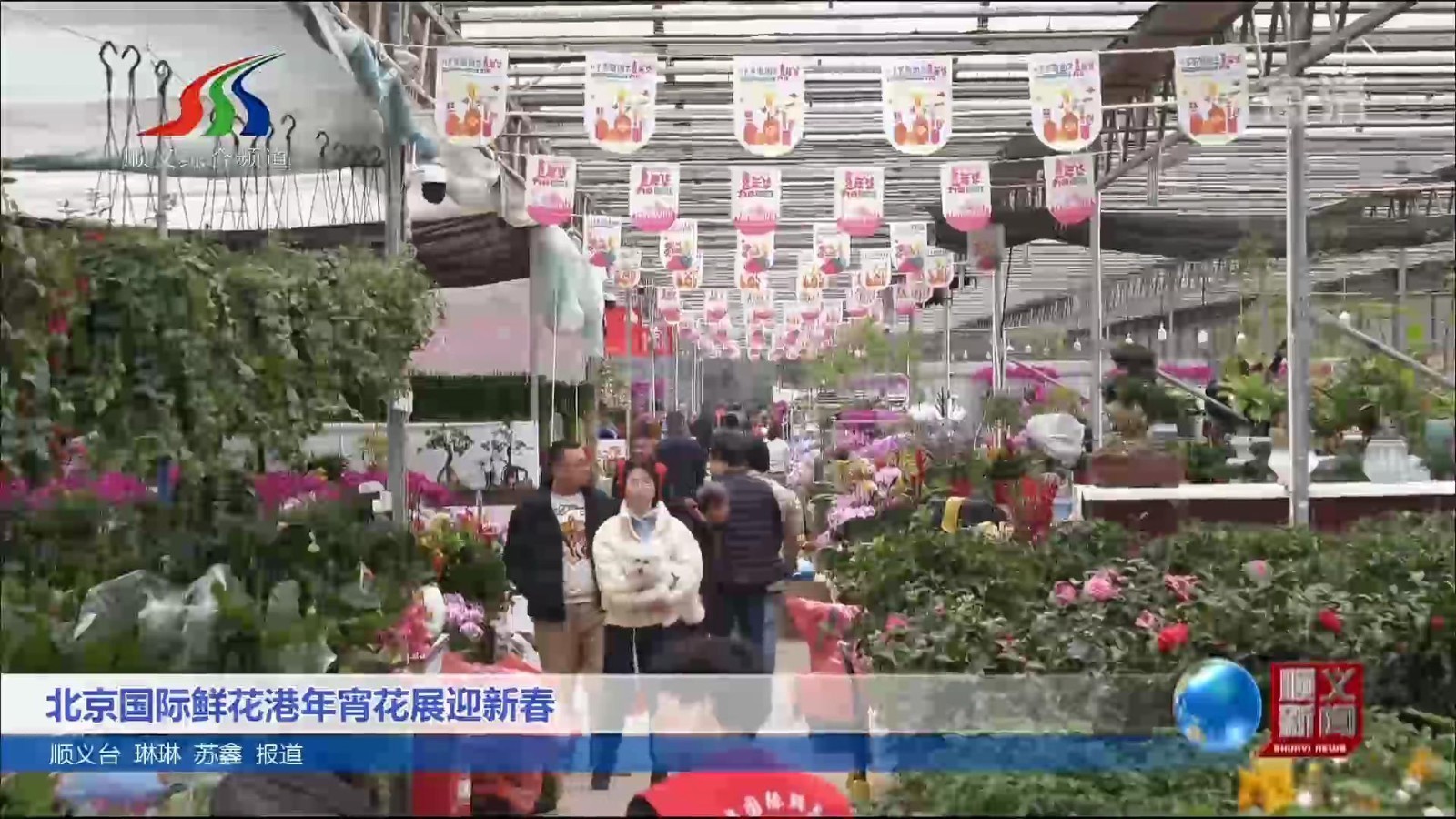 北京国际鲜花港年宵花展迎新春_北京时间