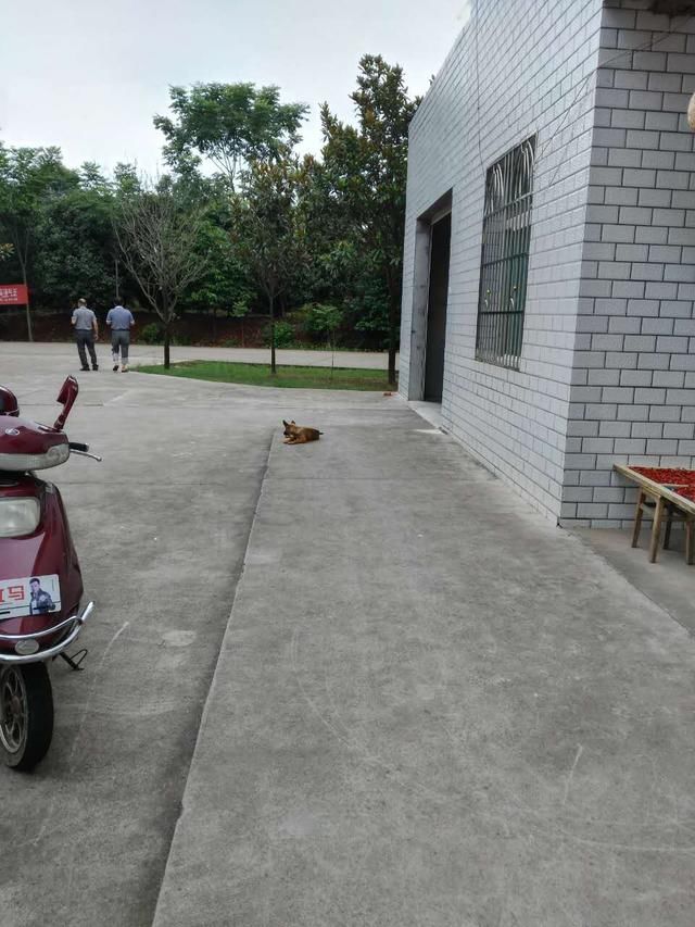 崽崽夜里哭闹,婆婆每天傍晚打开门窗呼唤崽崽