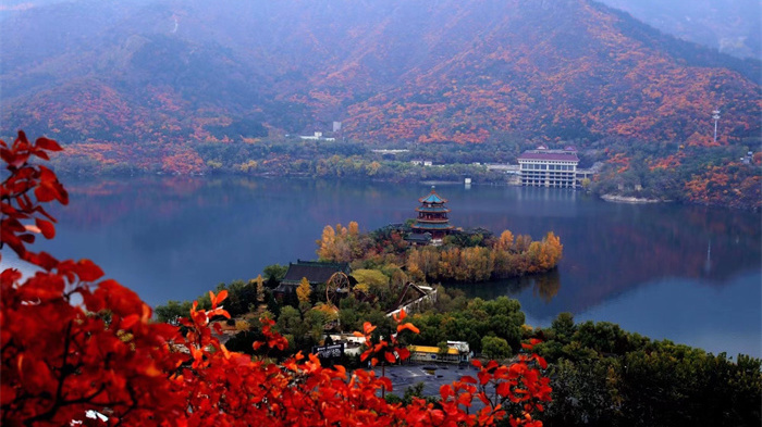 喜报！十三陵镇获评 “2022年北京市森林康养旅游示范基地”