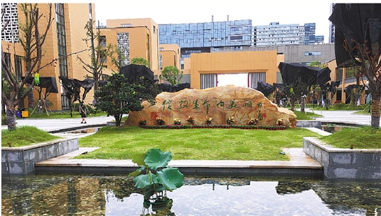 景苑中学:新生举行开学典礼,校长领进校门
