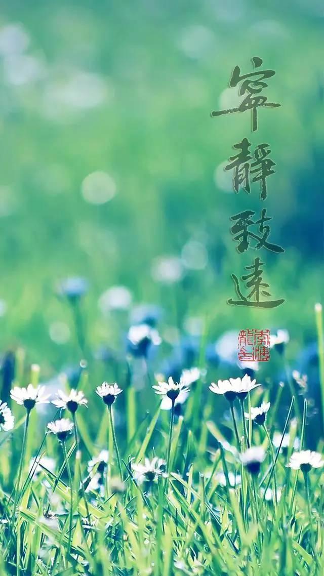 书法壁纸/屏保:君生我未生,我生君已老.