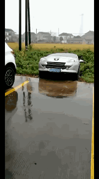 搞笑GIF:什么情况?中毒了吗?