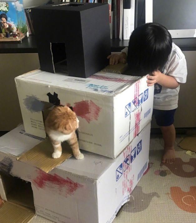 Kimi,Jenson、Kyson继承父亲林志颖的基因成