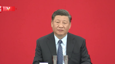 独家视频丨习近平:一定要把我们的农民扶一把