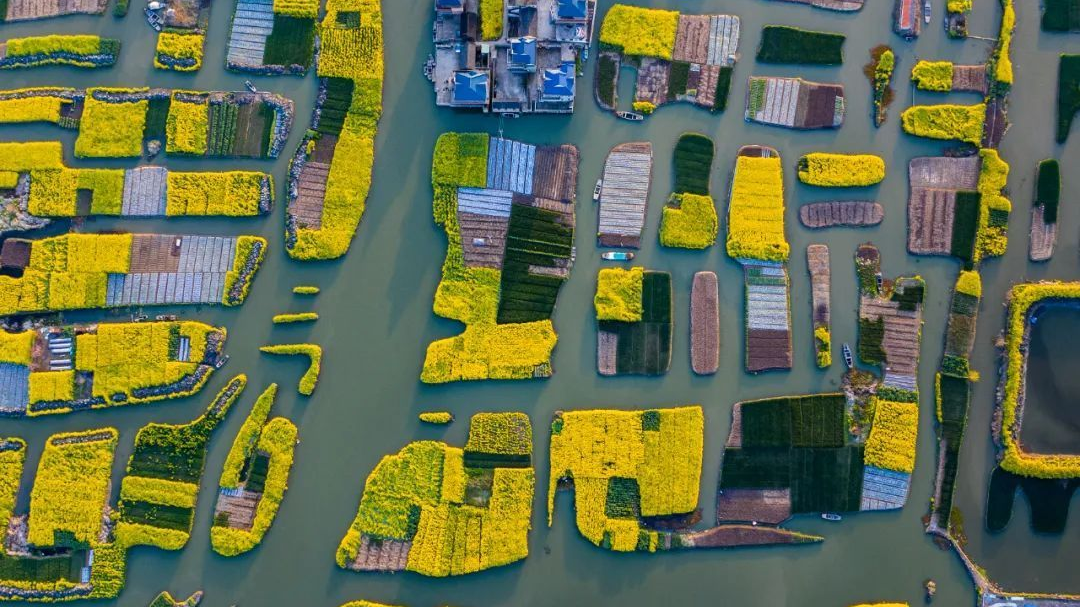 我国新添4处世界灌溉工程遗产，分别位于蜀、苏、浙、赣四省