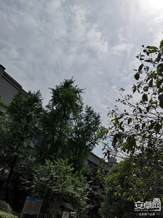 底大一级难逢敌手 华为P20 Pro稳居2018最强