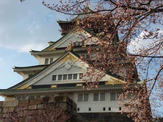 如今的日本天皇还有什么权力吗?